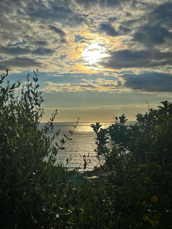 Vila Paza Saranda Zewnętrze zdjęcie